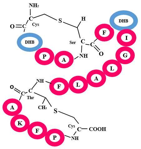 RIPP Modifications